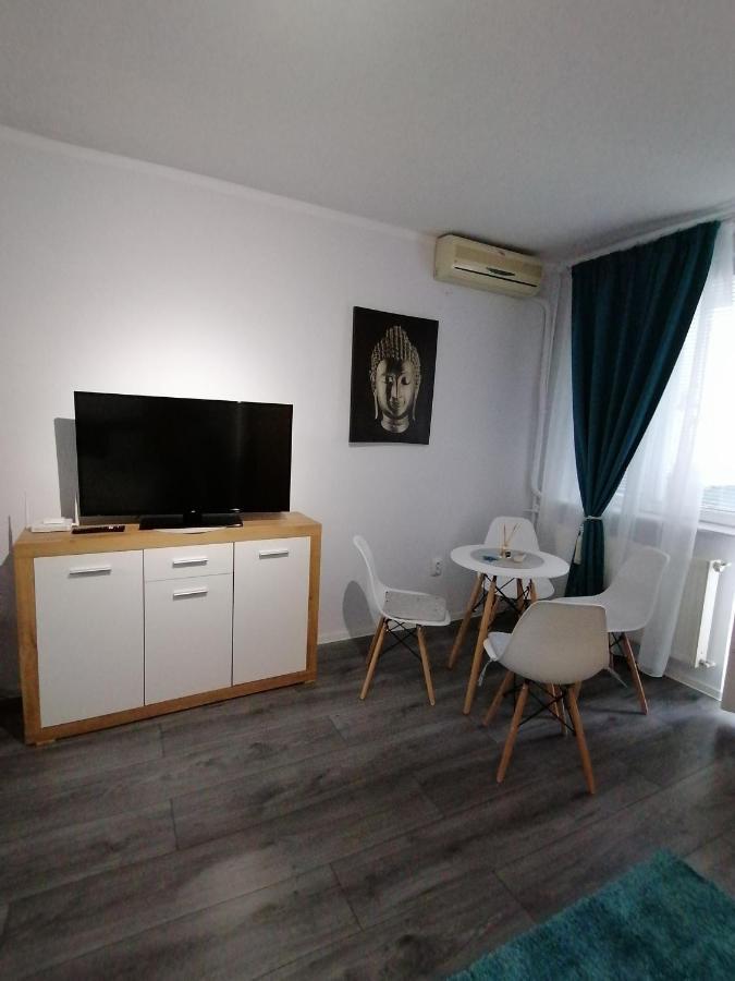 Bega Circumvalatiunii 1 Room Apartment Timişoara Extérieur photo