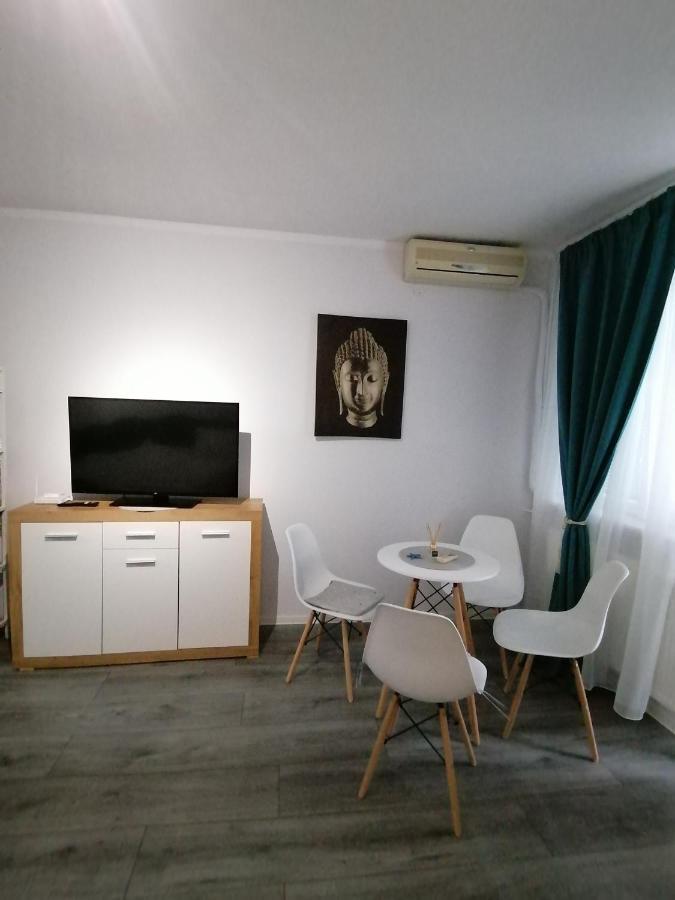 Bega Circumvalatiunii 1 Room Apartment Timişoara Extérieur photo