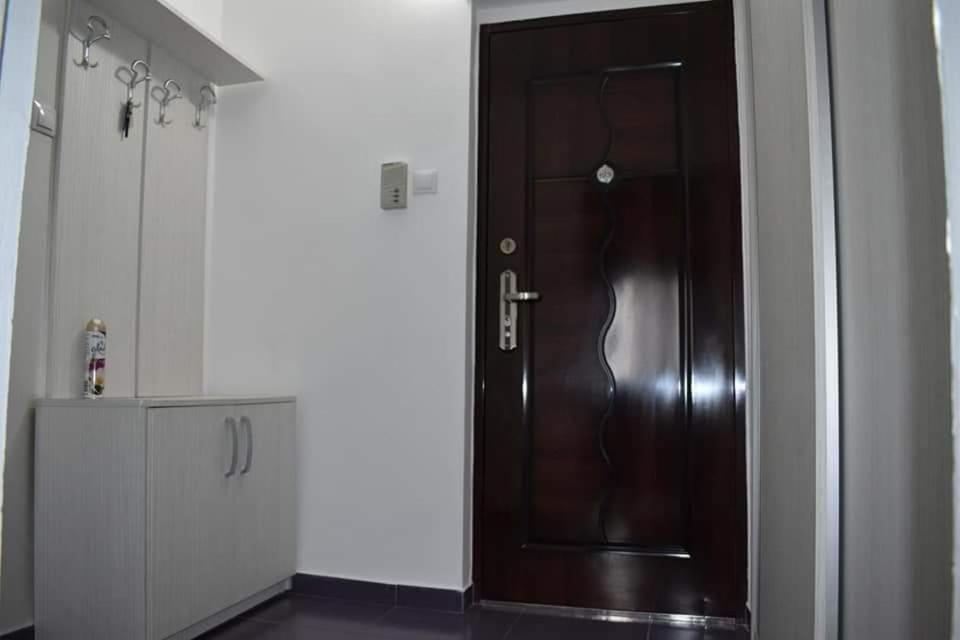 Bega Circumvalatiunii 1 Room Apartment Timişoara Extérieur photo