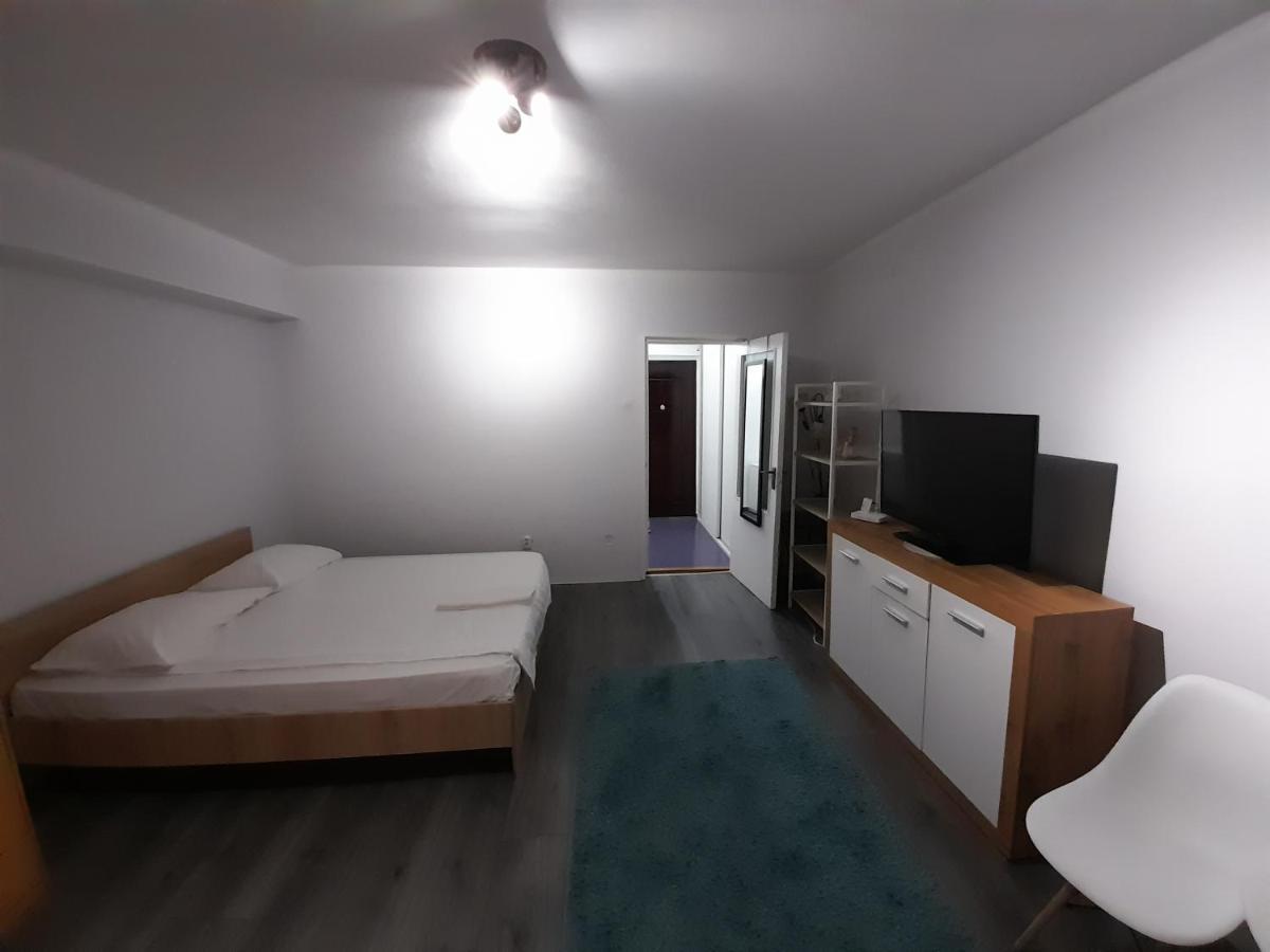 Bega Circumvalatiunii 1 Room Apartment Timişoara Extérieur photo